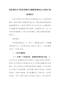 团区委在关于团员和青年主题教育推进会上的的汇报参考范文