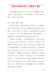 亮剑心得体会范文【精选5篇】