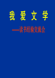 我爱文学2