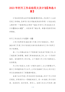2023年村月工作总结范文及计划【热选8篇】