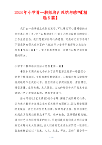 2023年小学骨干教师培训总结与感悟【精选5篇】