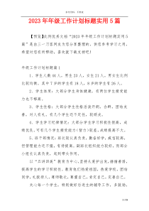 2023年年级工作计划标题实用5篇