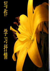 初中语文【7年级下】学习抒情7