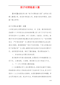 班子对照检查5篇