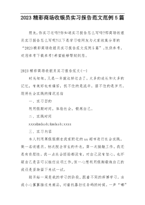 2023精彩商场收银员实习报告范文范例5篇
