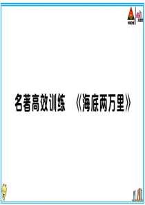初中语文【7年级下】名著高效训练 《海底两万里》
