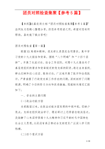 团员对照检查集聚【参考5篇】