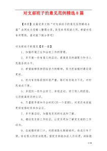 对支部班子的意见范例精选8篇