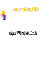 6SIGMA  DMAIC 12过程