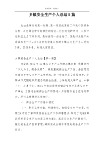 乡镇安全生产个人总结5篇
