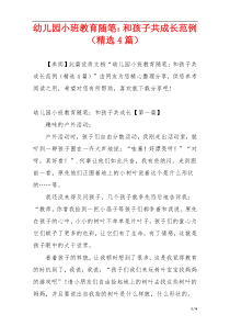幼儿园小班教育随笔：和孩子共成长范例（精选4篇）