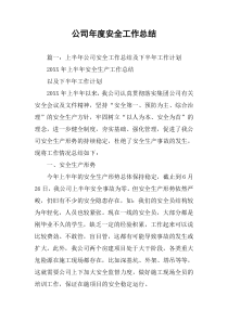 公司年度安全工作总结