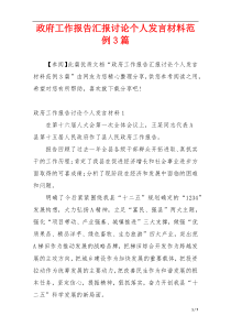 政府工作报告汇报讨论个人发言材料范例3篇