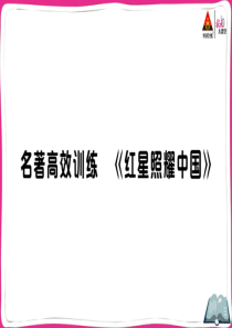 初中语文【8年级上】名著高效训练《红星照耀中国》