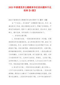 2023年普通党员主题教育存在的问题和不足范例【4篇】
