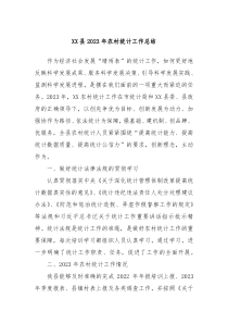 XX县2023年农村统计工作总结