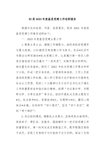 XX局2023年度基层党建工作述职报告