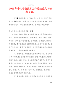 2023年个人专业技术工作总结范文（精彩5篇）