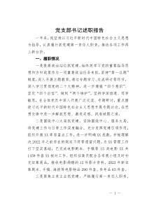 某党支部书记2023年述职报告