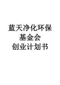 蓝天净化环保基金会创业计划书