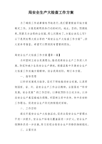局安全生产大检查工作方案