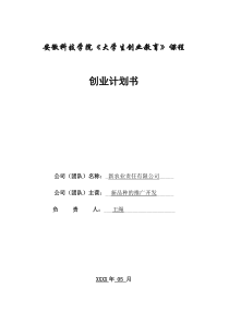 《创业教育》创业计划书作业版