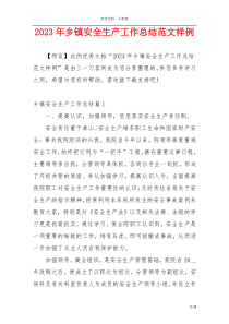 2023年乡镇安全生产工作总结范文样例
