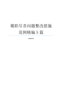 履职尽责问题整改措施范例精编5篇