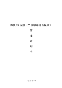 xx医院商业计划书