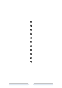 泰隆商贸电商运营策划书