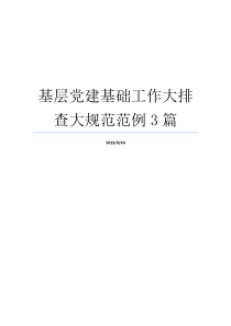 基层党建基础工作大排查大规范范例3篇