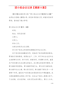 团小组会议记录【最新8篇】