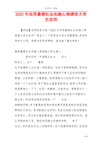2023年实用暑期社会实践心得感悟大学生实用