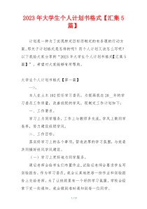 2023年大学生个人计划书格式【汇集5篇】
