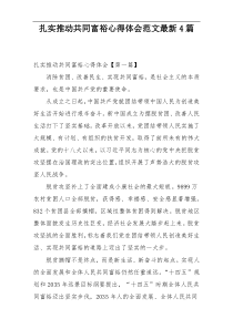 扎实推动共同富裕心得体会范文最新4篇
