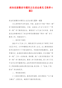 政治巡查整改专题民主生活会意见【推荐4篇】