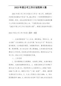 2023年度公司工作计划范例5篇