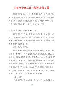 大学办公室工作计划和总结5篇