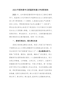2023年党委（工委）书记抓基层党建工作述职报告范文