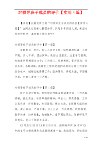 对领导班子成员的评价【实用4篇】
