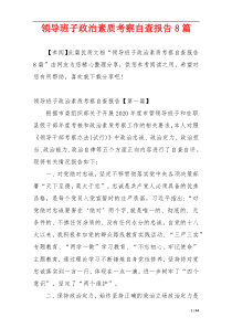 领导班子政治素质考察自查报告8篇