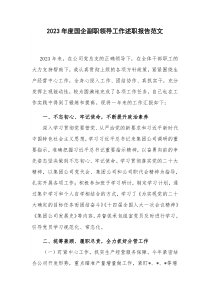 2023年度国企副职领导工作述职报告范文
