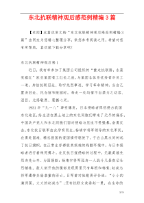 东北抗联精神观后感范例精编3篇