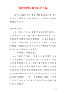 禁酒令教育要点范例5篇