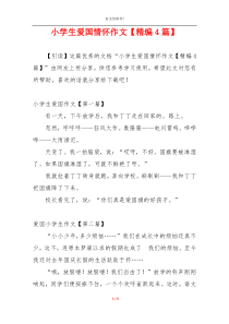 小学生爱国情怀作文【精编4篇】