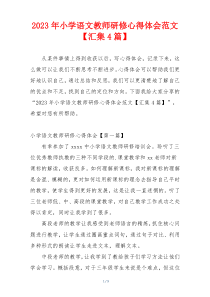 2023年小学语文教师研修心得体会范文【汇集4篇】