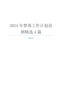2024年禁毒工作计划范例精选4篇