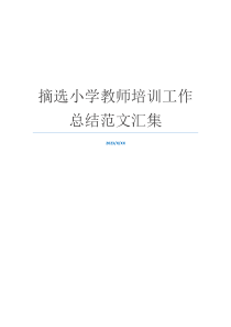 摘选小学教师培训工作总结范文汇集