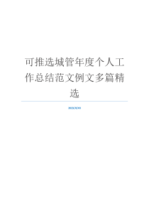 可推选城管年度个人工作总结范文例文多篇精选