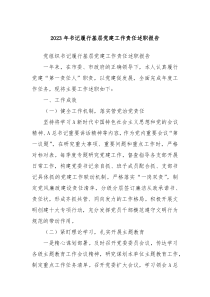 2023年书记履行基层党建工作责任述职报告